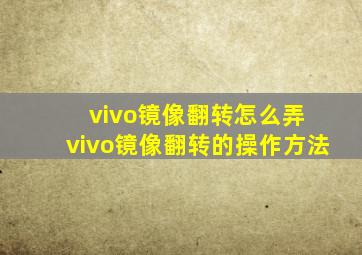 vivo镜像翻转怎么弄 vivo镜像翻转的操作方法
